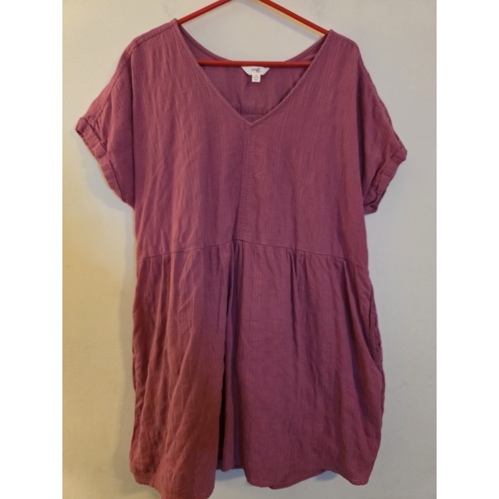 Terra & Sky Mauve V-Neck Babydoll Dress